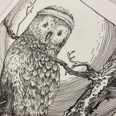 NIght Owl - Framed Original