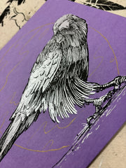 Circle Crow (Russel)- 8 x 10 Print