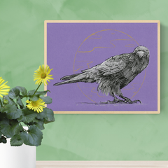 Circle Crow (Russel)- 8 x 10 Print