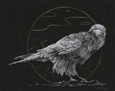 Circle Crow (Russel)- 8 x 10 Print