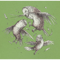 Circle of Owls - 18 x 18in silkscreen print