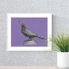 Stump Crow (Sheryl)- 8 x 10 Print
