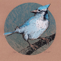 Mr Bluejay - Screenprint