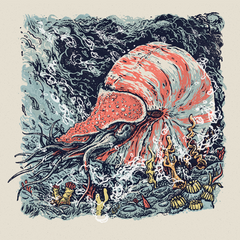 NAUTILUS - 12” x 12” Silkscreen Print