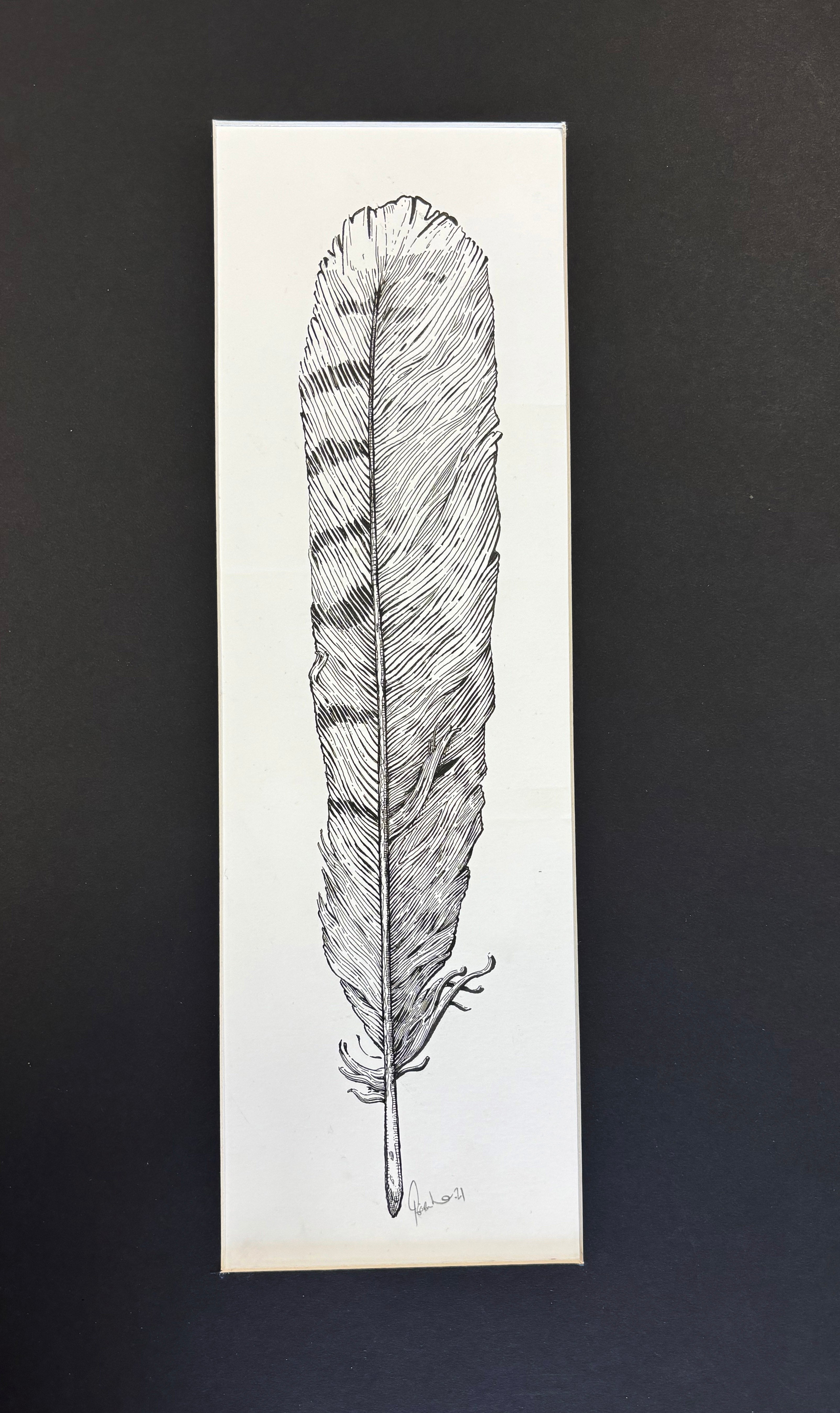 Feather - Framed Original