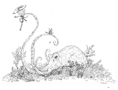 Octopus Gardner Study 1- Framed Original