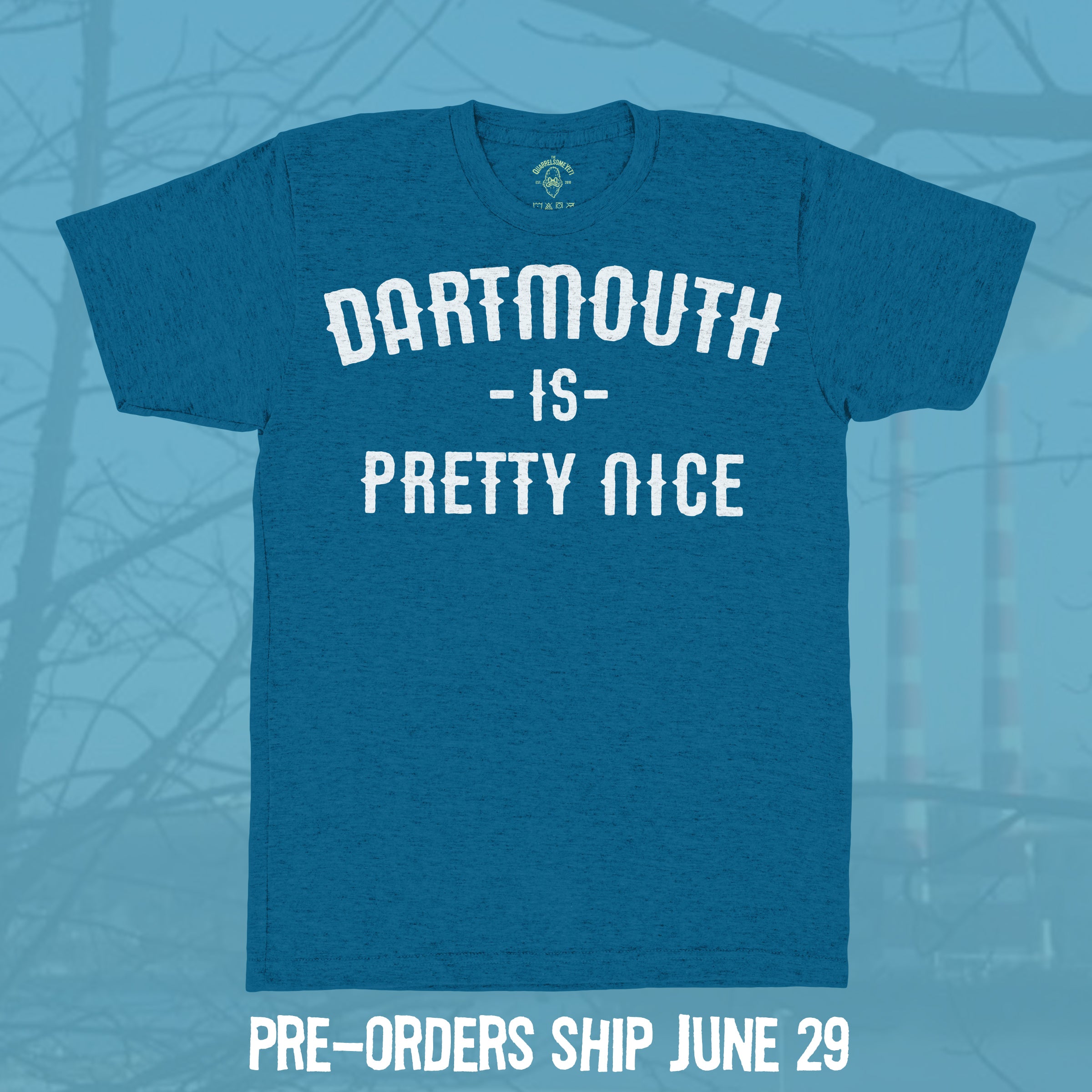Dartmouth is Pretty Nice T-shirt - Hand-Printed on Organic Cotton/Poly Blend
