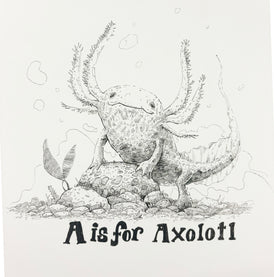 Weekly Auction #6 Axolotle - Original Framed Pen & Ink drawing. 11 x 14