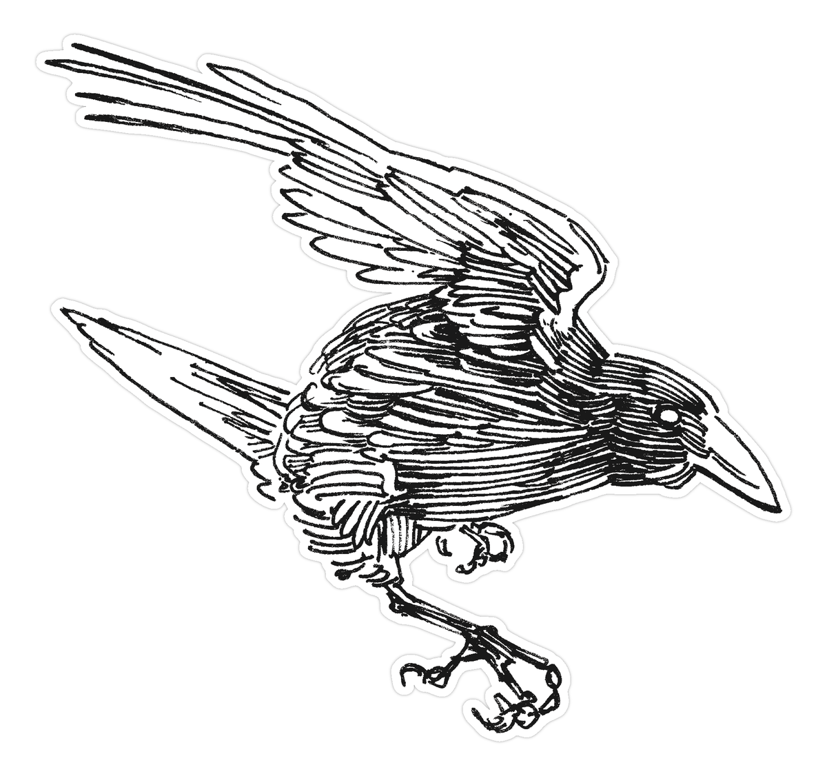 Flying Crow