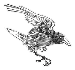Flying Crow