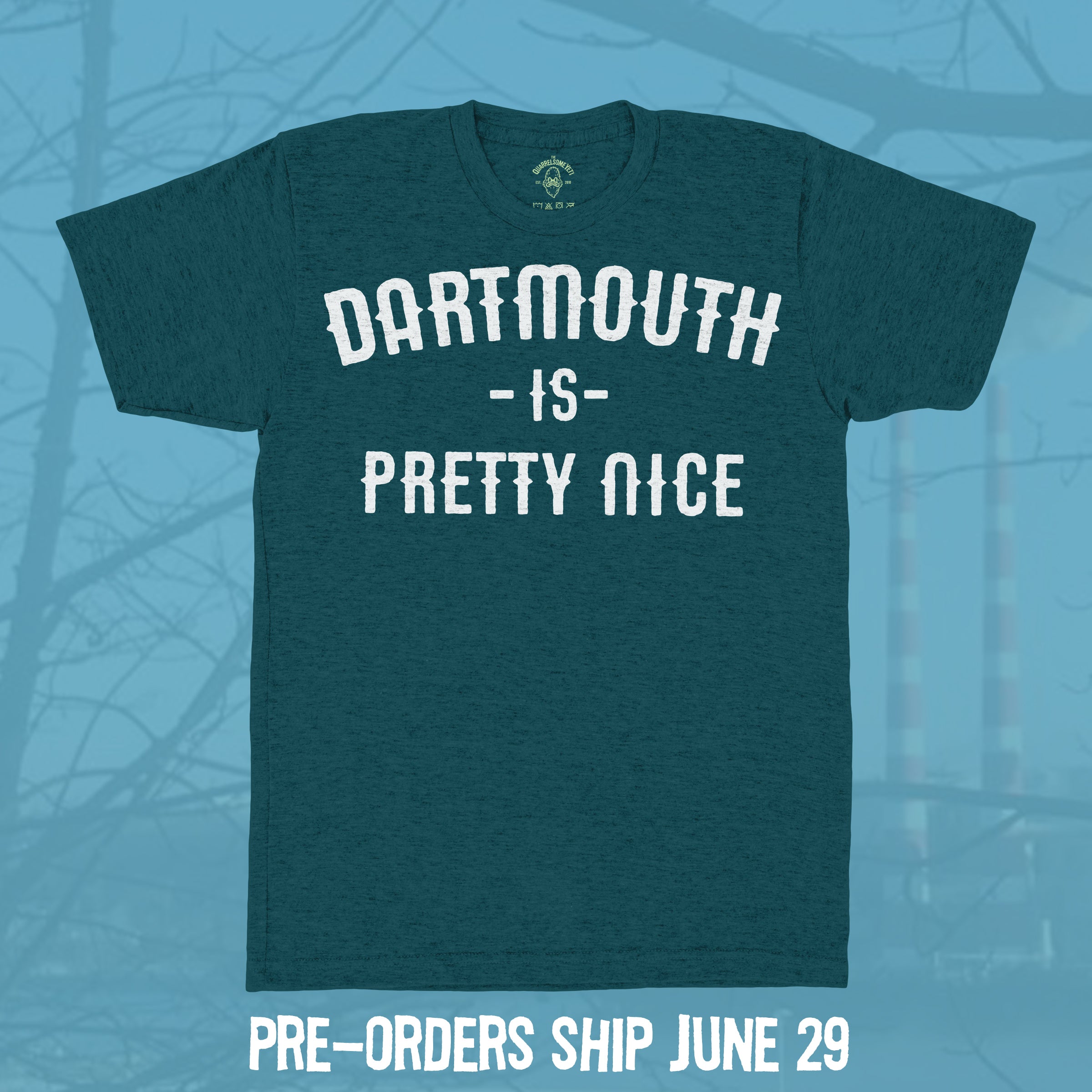 Dartmouth is Pretty Nice T-shirt - Hand-Printed on Organic Cotton/Poly Blend