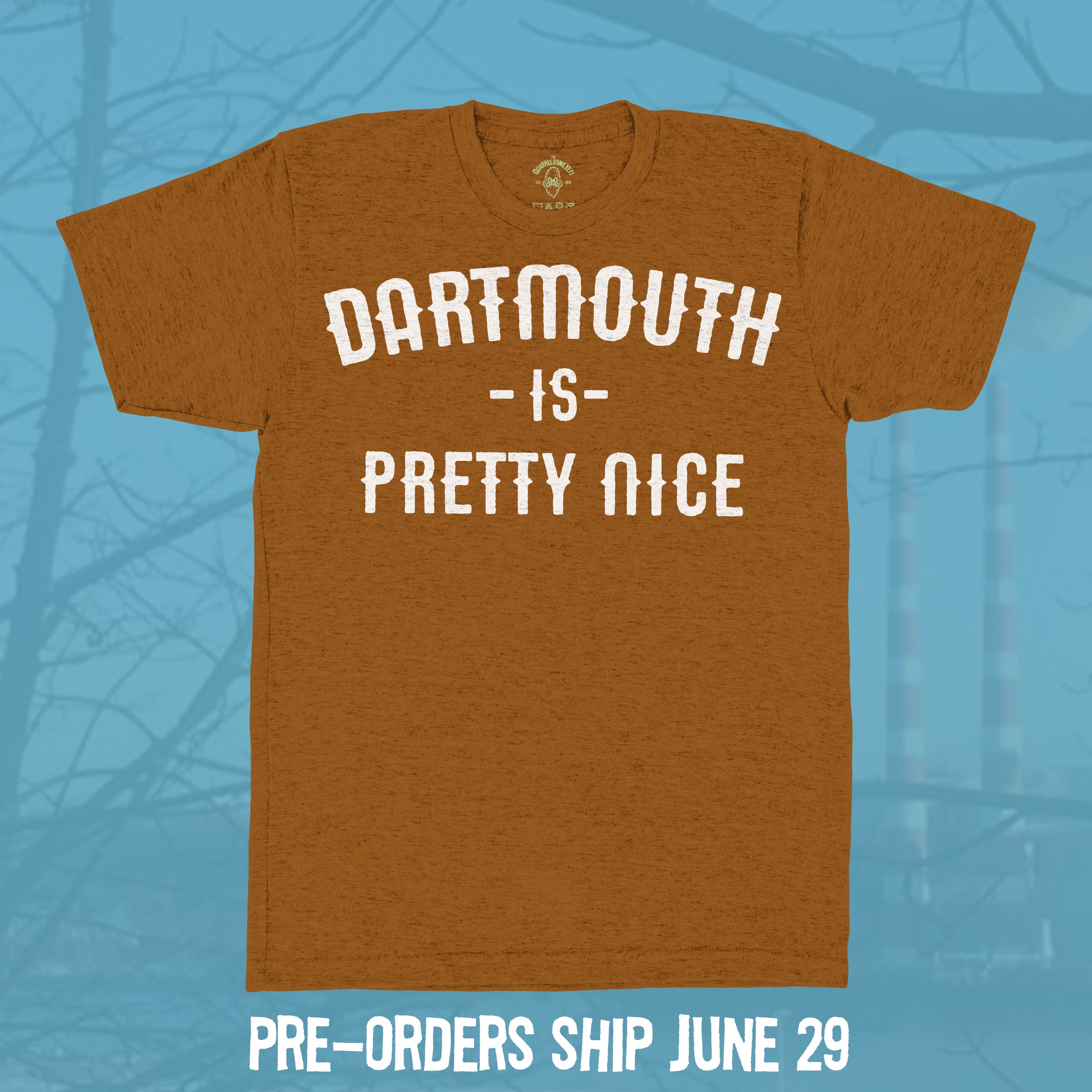 Dartmouth is Pretty Nice T-shirt - Hand-Printed on Organic Cotton/Poly Blend
