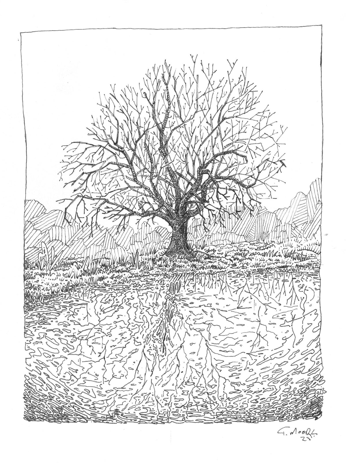 Reflective Tree Sackville NB- Framed Original