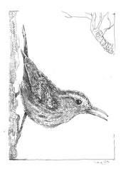 Lil Bird Number One - Framed Original