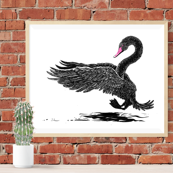 Black Swan I - Silkscreen Art Print - 16 x 20
