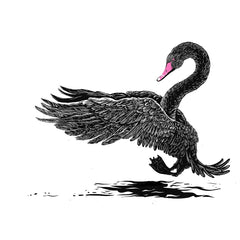 Black Swan I - Silkscreen Art Print - Nova Scotia - 16 x 20