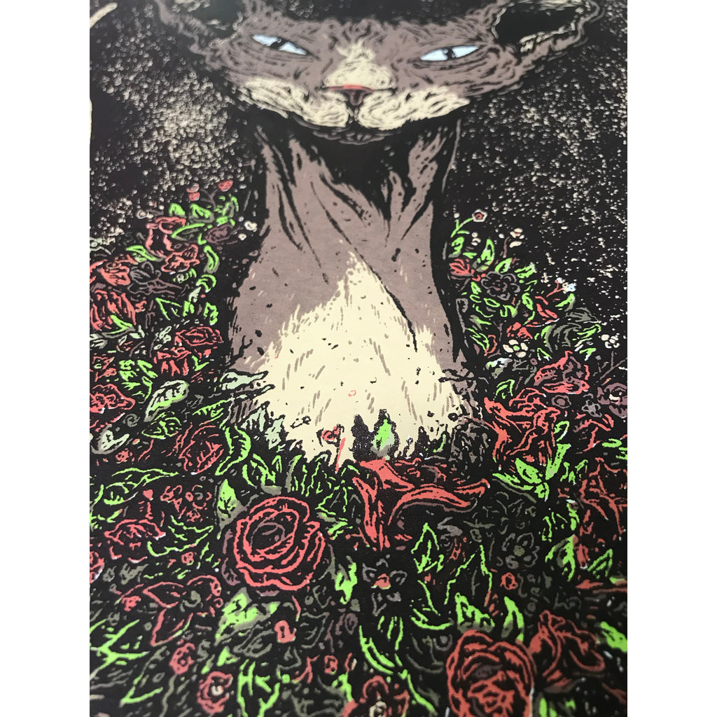 Hairless Cat - 12 x 18 - Silkscreen Print